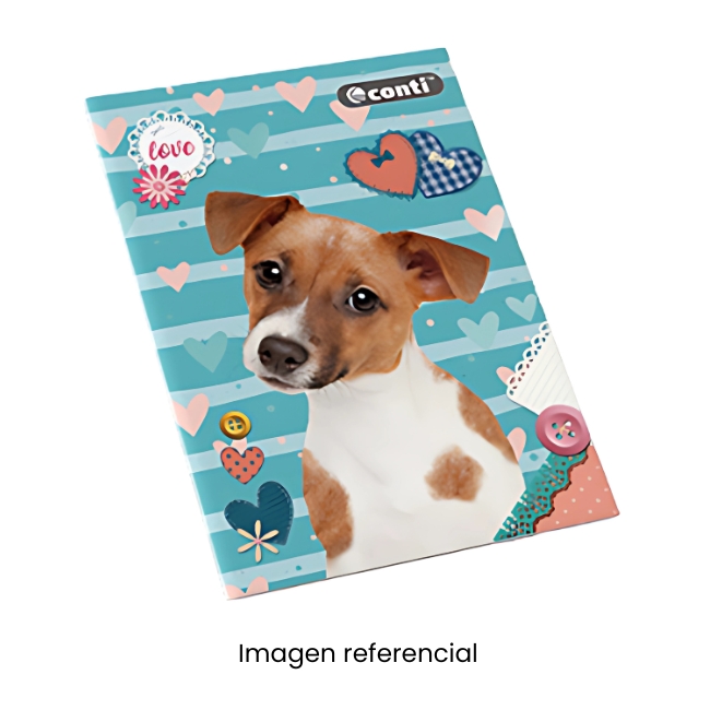 CONTI CUADERNO A4 DECROLY DISEÑOS 80H 