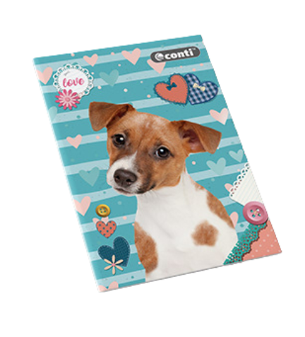 CONTI CUADERNO A4 DECROLY DISEÑOS 80H 