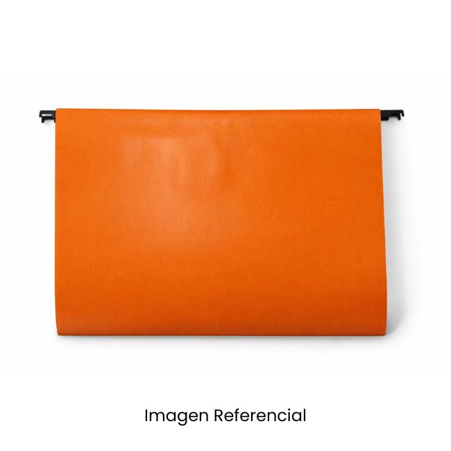 FOLDER COLGANTE NARANJA