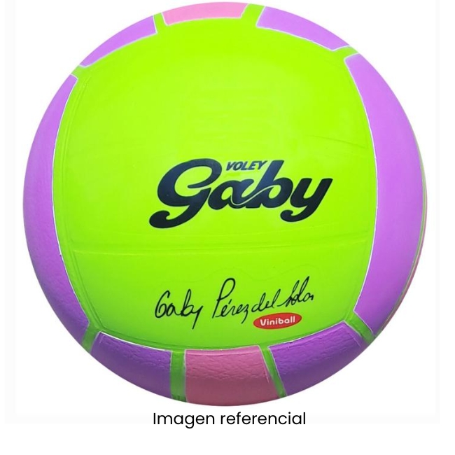 VINIBALL VOLEY GABY ROS-LILA-VERD