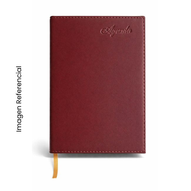 AGENDA DIARIA SINTETICO SIN FECHA