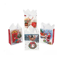 NVD BOLSA REGALO T-M NAVIDAD