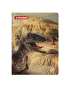 STANDFORD A4 84H RAYADO SAURUS A23