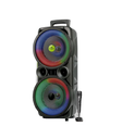 EVERSOUND PARLANTE EV2013 TOWER 8PULG RGB + MICROFONO CABLEADO  AMPLIFICADOR
