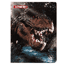 STANDFORD A4 84H CUADRI SAURUS A23